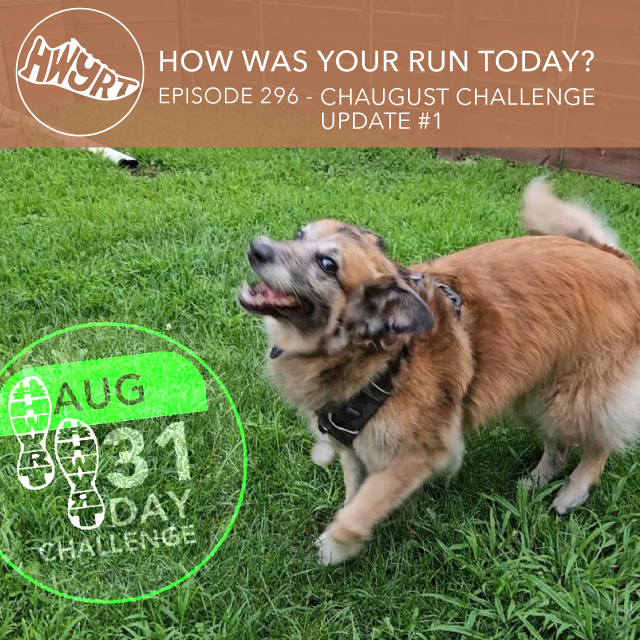 296 Chaugust Challenge Update #1